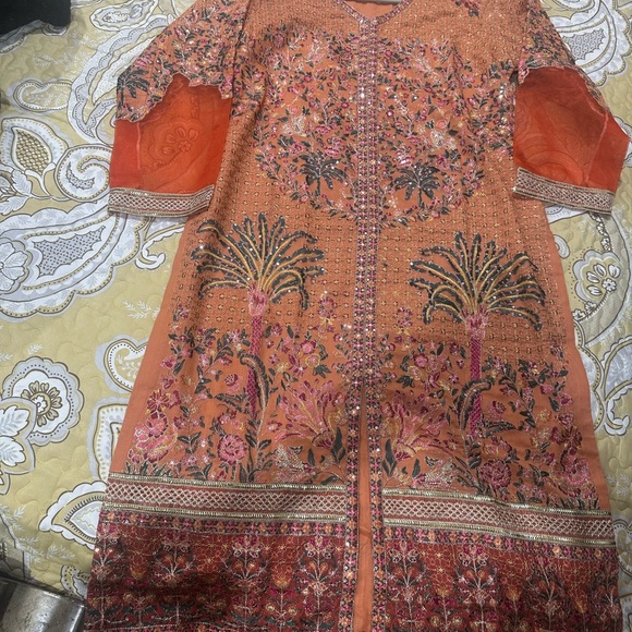 Pakistani dresses - Picture 5 of 11